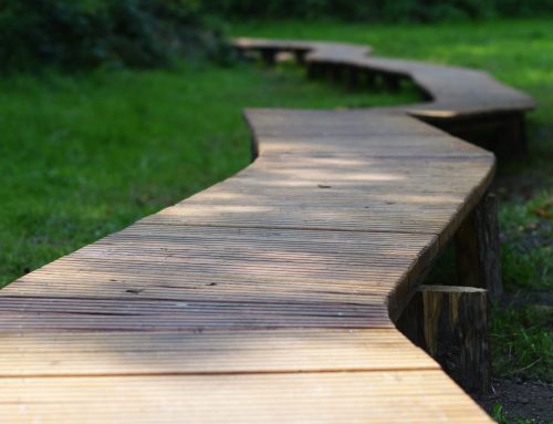 5 charming garden pathway ideas for Summer